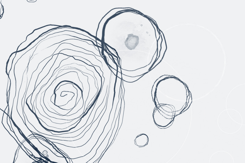 Geneva PeaceTalks 2022 What does Peace Mean to You? Que Signifie la Paix pour vous?